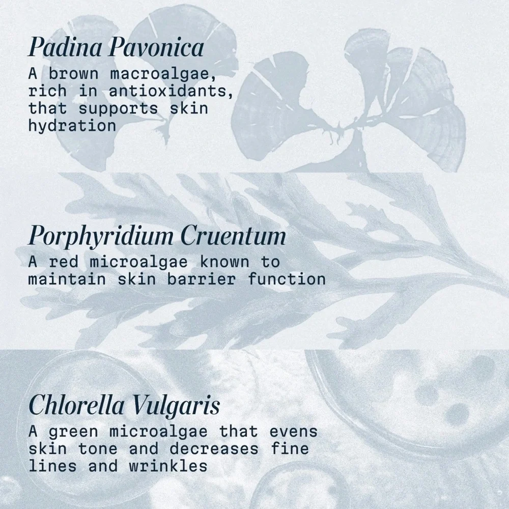 ELEMIS PRO-COLLAGEN MARINE CREAM - BRAND NEW in the box! - Picture 6 of 14